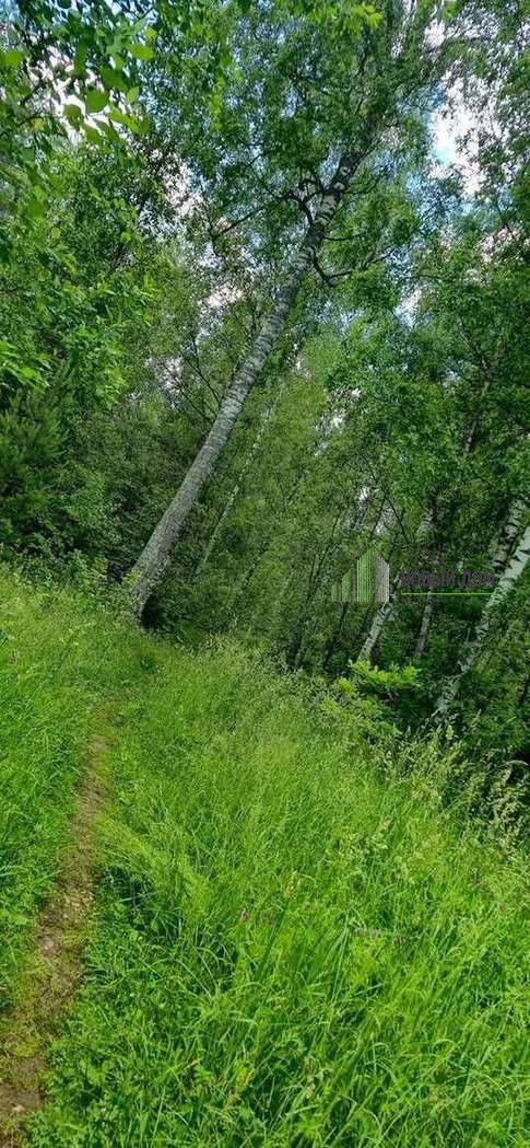 Участок — Герцена улица